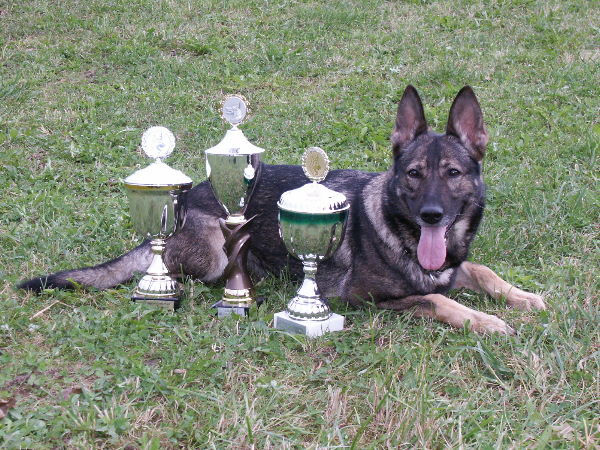 Anja vom wilden Hexenhaus