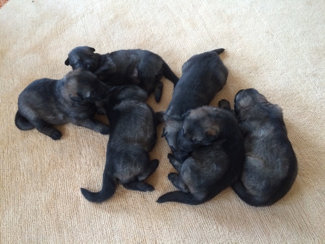 Im Alter von 10 Tagen